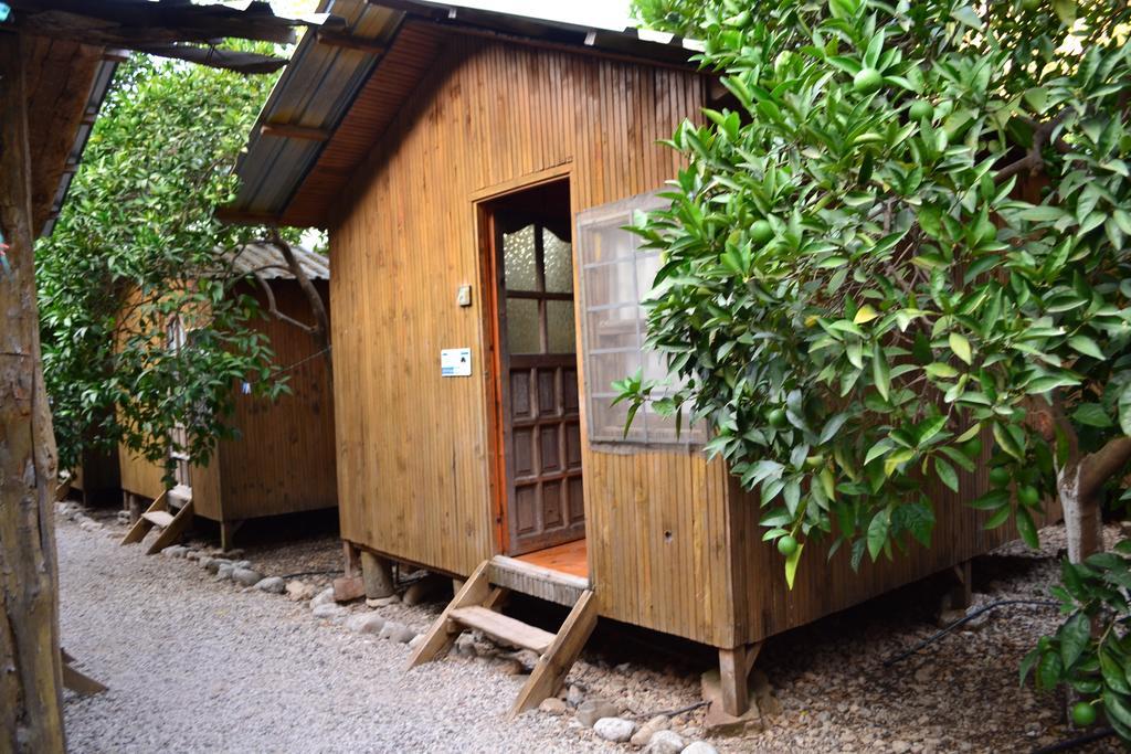 Olympos Yakamoz Pansiyon Ruang foto