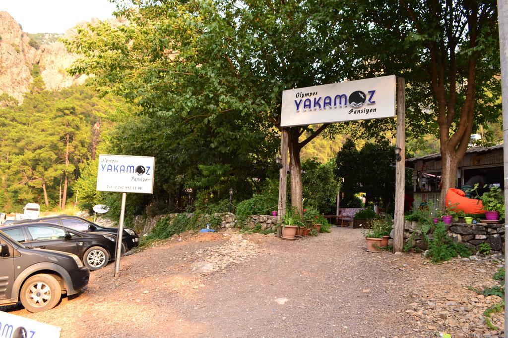 Olympos Yakamoz Pansiyon Bagian luar foto