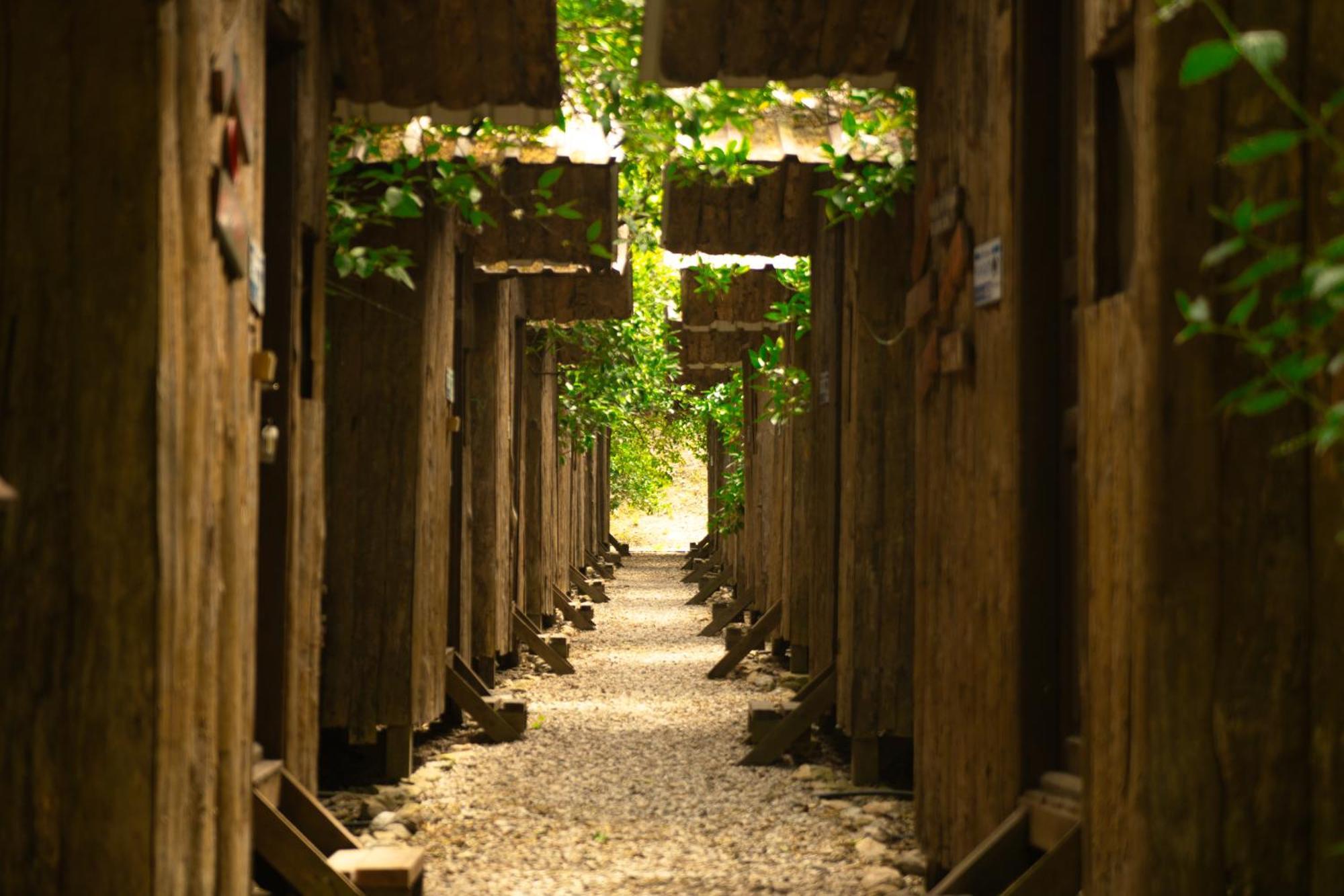 Olympos Yakamoz Pansiyon Bagian luar foto