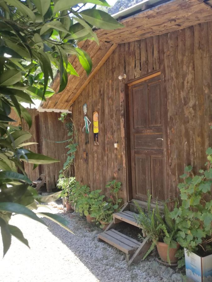 Olympos Yakamoz Pansiyon Bagian luar foto