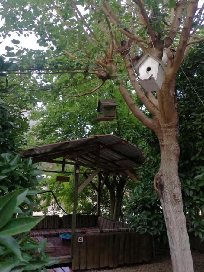 Olympos Yakamoz Pansiyon Bagian luar foto